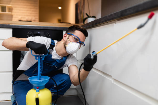 Best Rat Extermination Near Me  in Prophetstown, IL