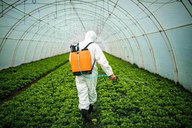 Best Pest Control Near Me  in Prophetstown, IL