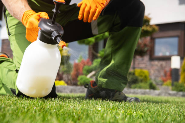 Best Pest Removal Services  in Prophetstown, IL