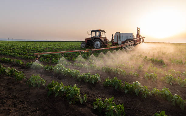 Best Ant Control Services  in Prophetstown, IL