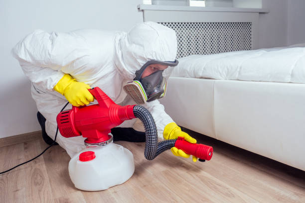 Best Local Pest Control Services  in Prophetstown, IL