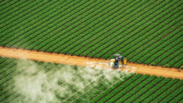 Best Termite Control Services  in Prophetstown, IL