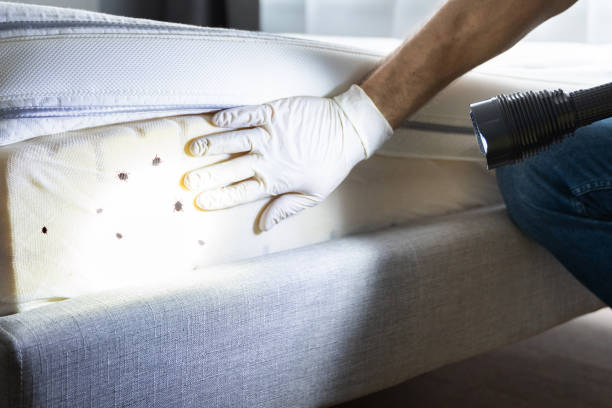 Best Best Pest Control Companies  in Prophetstown, IL