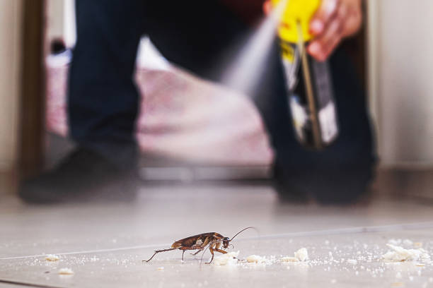Best Mosquito Control Services  in Prophetstown, IL