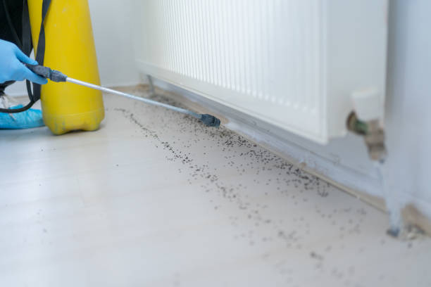 Best Emergency Pest Control  in Prophetstown, IL