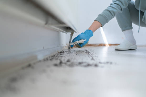 Reliable Prophetstown, IL Pest Control Solutions