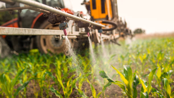 Pest Control Cost in Prophetstown, IL