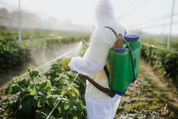 Best Pest Removal Services  in Prophetstown, IL